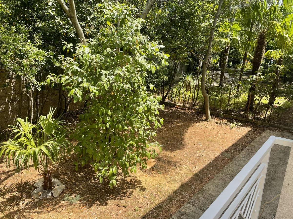 דראמליי Lory Apartmani מראה חיצוני תמונה